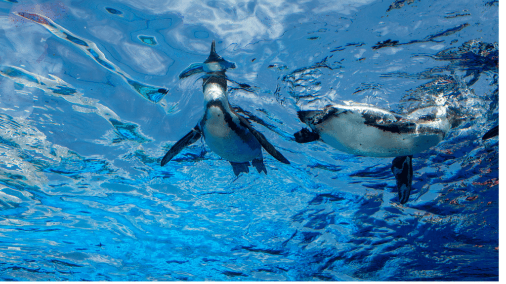 اكواريوم اسطنبول 